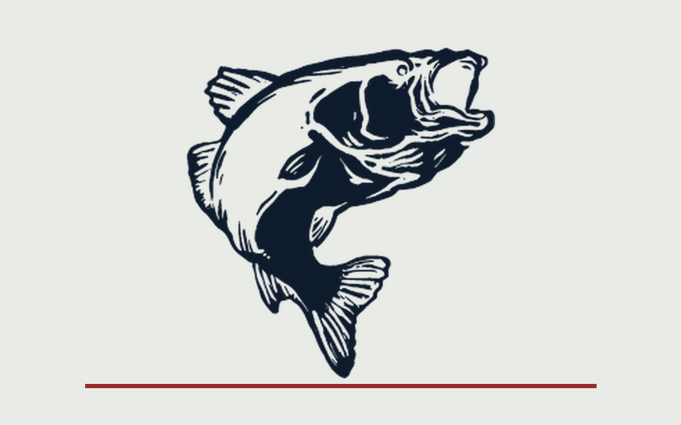 Engraved fish