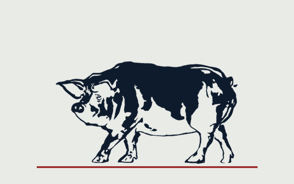 Engraved pig