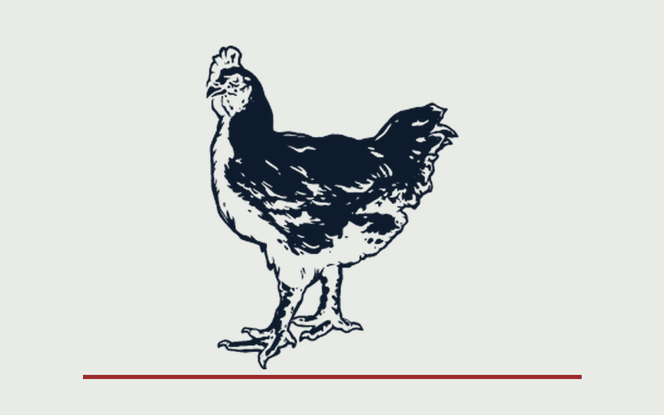 Engraved hen
