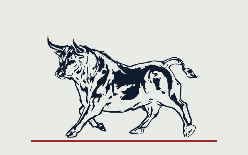 Engraved bull